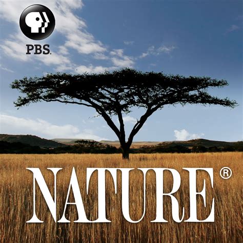 Nature Cancelled Or Renewed For Season 34 Renew Cancel Tv