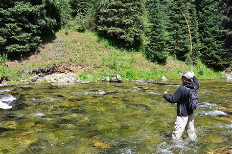 Fly Fishing The St Joe River In Idaho The St Fly Fishing River