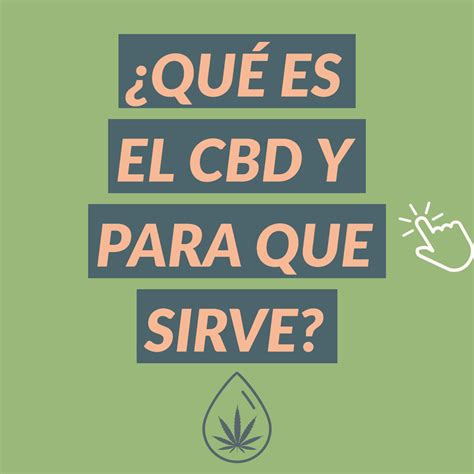 Qué es el CBD y para que sirve Mejores Tiendas Online 2024