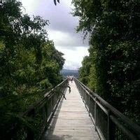 Dorrigo National Park Skywalk - Scenic Lookout