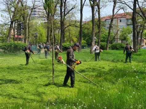 Cur Enie N Parcurile I Locurile De Joac Din Timi Oara Timispress Ro