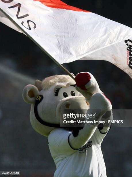 Milton Keynes Cows Photos And Premium High Res Pictures Getty Images