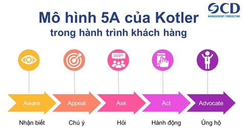 Mô hình 5A của Kotler trong hành trình khách hàng Công ty OCD