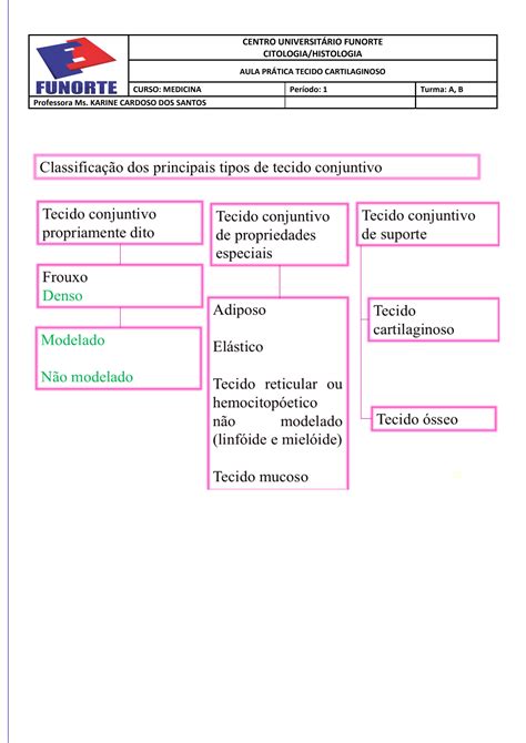 Solution Aula Pr Tica Tecido Cartilaginoso Studypool