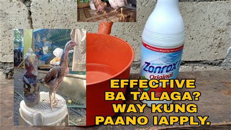 EFFECTIVE BA TALAGA PARA SA SIPON NG MANOK ANG ZONROX AT PAANO ITO