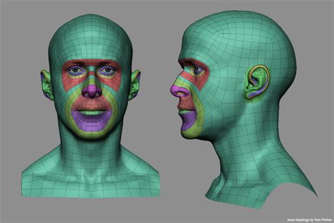 Artstation Facial Topology Mini Tutorial Tom Parker In