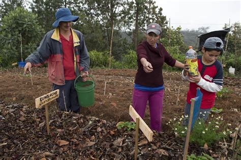 Fao Propone Aumentar La Contribuci N De Los Agricultores Familiares Al