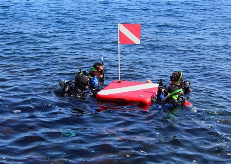 Banderas Y Flotadores De Buceo Lo Esencial Que Debes Saber