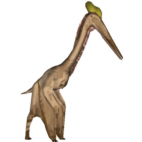 Pterosaurs PNG PNG All