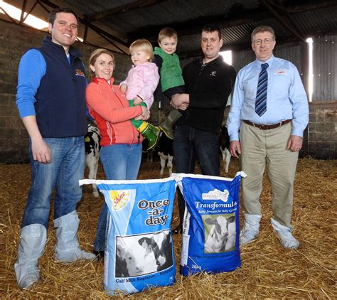 How Once A Day Feeding Allowed For The Growth Of A Calf Rearing