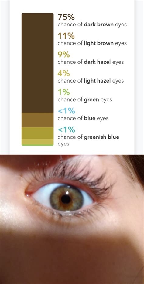 Eye Color Does 23andme Base It Off Of Just One Gene I Say I Have