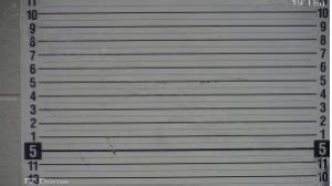 Busted Newspaper Wayne County KY Arrests