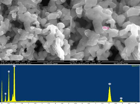 Scanning Electron Microscopy Sem Images Top And Energy Dispersive