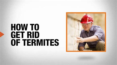 How To Get Rid Of Termites Diy Pest Control The Home Depot Youtube