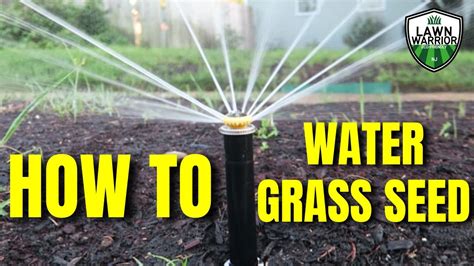 How To Water Your Lawn After Seeding How To Water New Grass Seed Watergrassseed Overseed