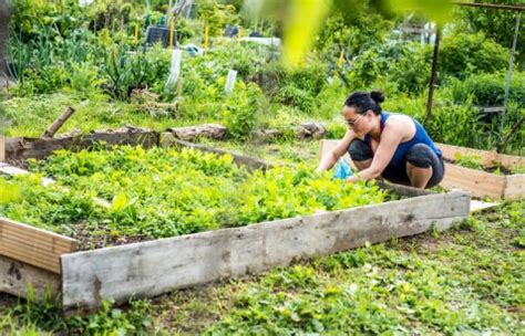 Metermoestuin Van Landgoed Nieuws Wonen Nl