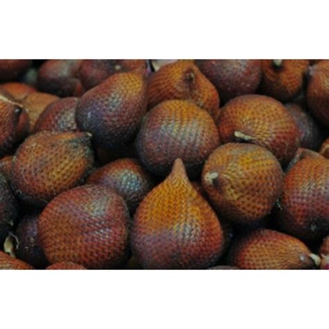 Jual Salak Pondoh Manis Kg Shopee Indonesia