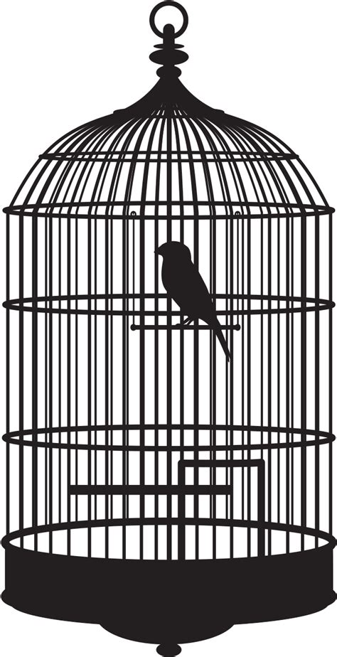 Bird In A Cage Bird In Cage Png - Clip Art Library