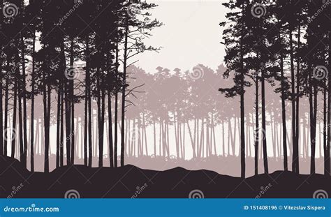 Realistische Illustratie Van Landschap Met Naaldbos Met Pijnboombomen