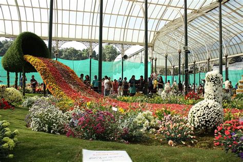 Flower show in LALBAGH: everything you NEED to know