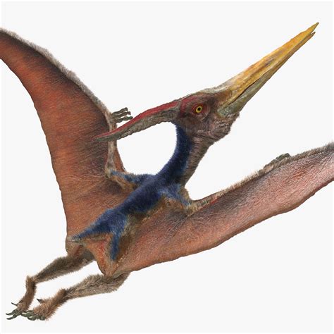 Jurassic Park Pteranodon 3d Model 70 Obj Unknown Free3d