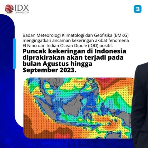 Imbas El Nino BMKG Ingatkan Ancaman Gagal Panen