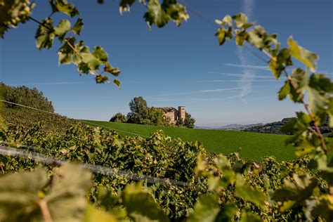 Azienda Agricola La Canosa Vigneti Pecorino Sangiovese Passerina