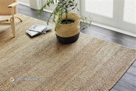 How To Clean A Jute Rug Expert Rug Cleaning Guide