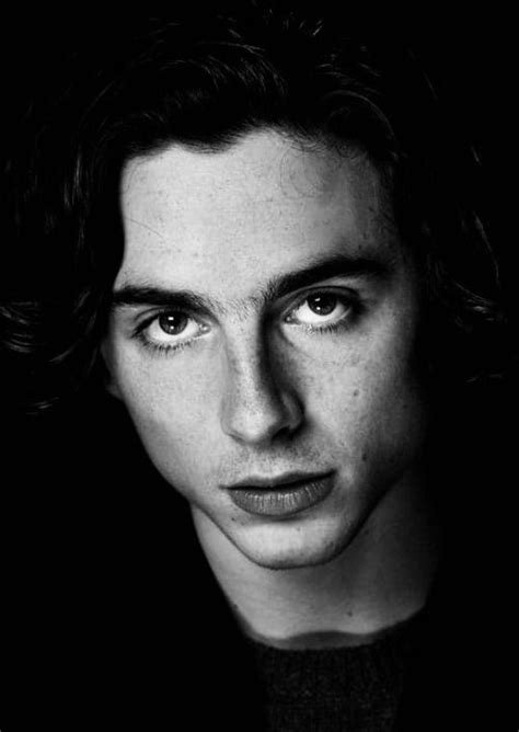 Timoth E Chalamet Daily Timothee Chalamet Black And White Portraits