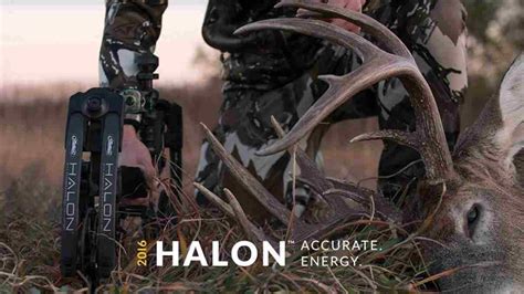 Mathews Halon Crowned King Of 2016 Page 7 Archery Talk Forum