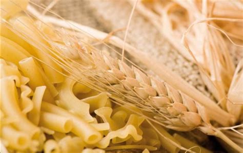 La Filiera Grano Duro Pasta Unita Punta Alla Qualit Con Fruclass