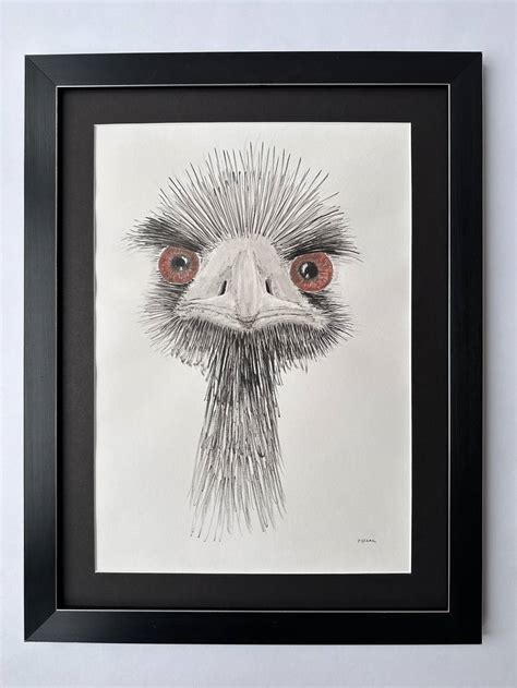 Ostrich Drawing By Pawel Jezak Saatchi Art