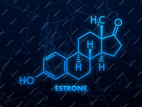 Premium Vector Estrone Formula Estrogens Vector Chemical Formulas