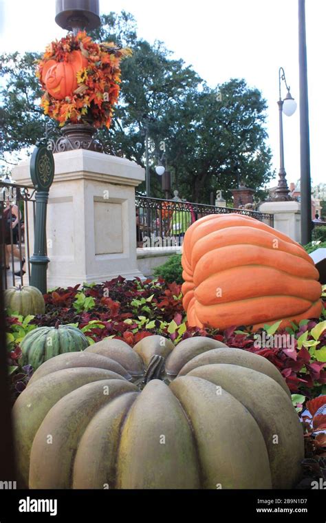 Disney Pumpkins Hi Res Stock Photography And Images Alamy