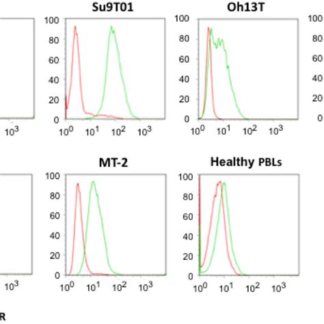 Cytotoxic Effects Of Surv M CRA In ATL Cell Lines And HTLV 1 Infected