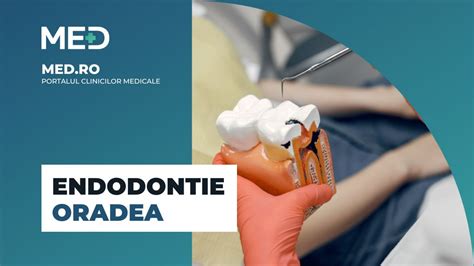 Endodontie Oradea Top 5 Clinici Prețuri Programare Online