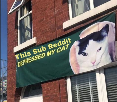 Best R Gachalifeporn Images On Pholder Gacha Pussy