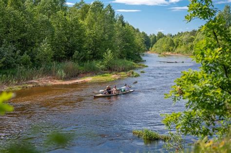 Viaje En Canoa Por El R O Del Bosque En Verano Tres Hombres En Canoa