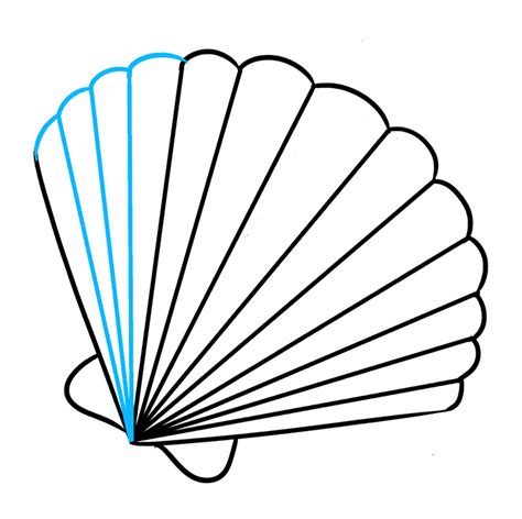 How To Draw A Seashell Really Easy Drawing Tutorial