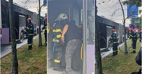 Video Un Autobuz A Luat Foc N Mers N Pia A Din Timi Oara