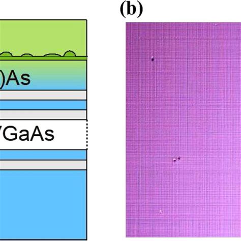 A Schematic Structure Of The Qd Sample B The Surface Of The Qd Download Scientific Diagram