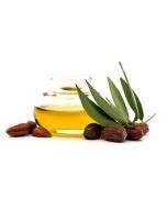 Buy Bulk Jojoba Oil Clear Organic Jedwards International