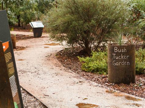 Bush Tucker Garden Bullawah Cultural Trail Victorias High Country