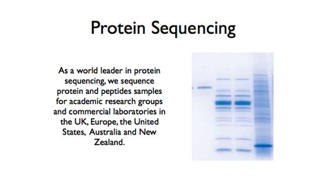 Cambridge Peptides N Terminal Sequencing