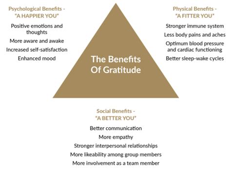 The Neuroscience Of Gratitude And Effects On The Brain