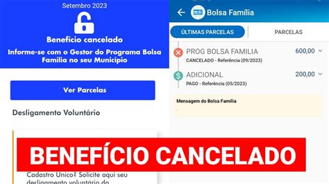 Bolsa Fam Lia Estava Bloqueado Agora Est Cancelado Como Voltar A