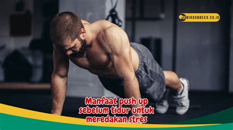 Manfaat Push Up Sebelum Tidur Untuk Meredakan Stres Birds N Bees