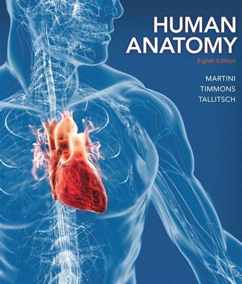 Test Bank for Human Anatomy 8th Edition by Martini - Test Bank Corp