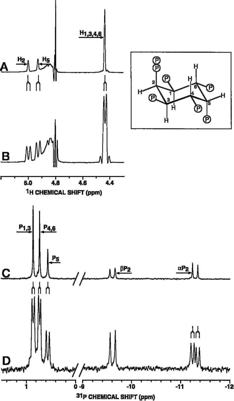 One Dimensional 1 H And 31 P Nmr Spectra Of 2 Pp Neoinsp 5 Download Scientific Diagram