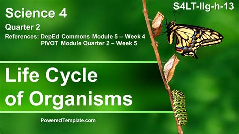 Grade 4 Science Quarter 2 Weeks 4 And 5 │ Life Cycle Of Organism │ Deped Commons And Pivot Module